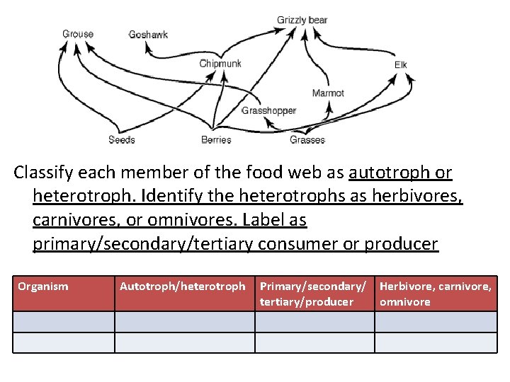Classify each member of the food web as autotroph or heterotroph. Identify the heterotrophs