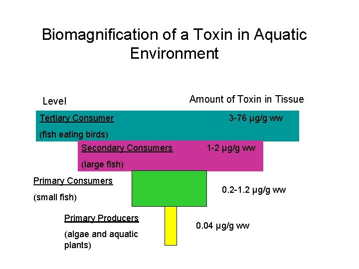 Biomagnification of a Toxin in Aquatic Environment Amount of Toxin in Tissue Level Tertiary