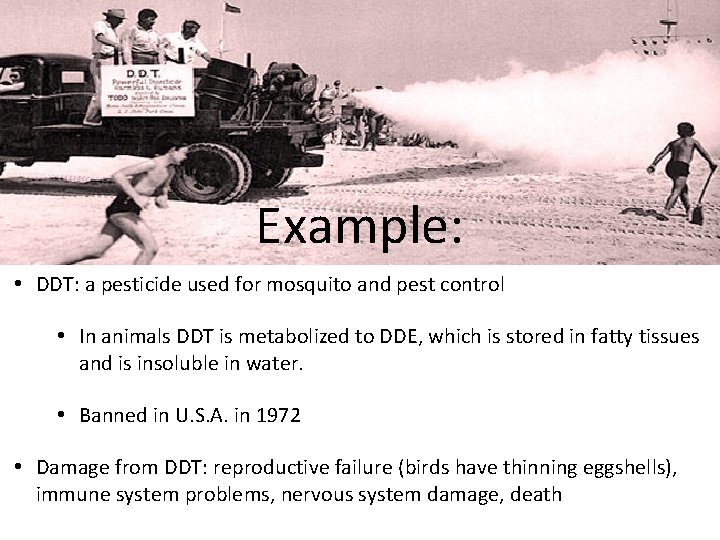 Example: • DDT: a pesticide used for mosquito and pest control • In animals