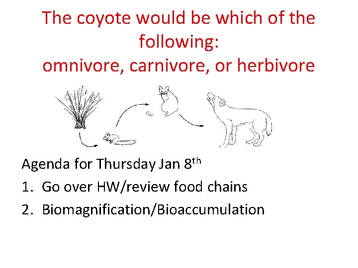 The coyote would be which of the following: omnivore, carnivore, or herbivore Agenda for