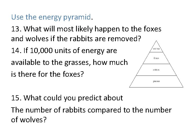 Use the energy pyramid. 13. What will most likely happen to the foxes and