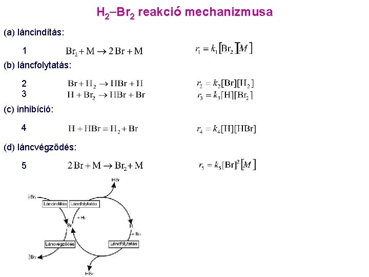 H 2 Br 2 reakció mechanizmusa (a) láncindítás: 1 (b) láncfolytatás: 2 3 (c)