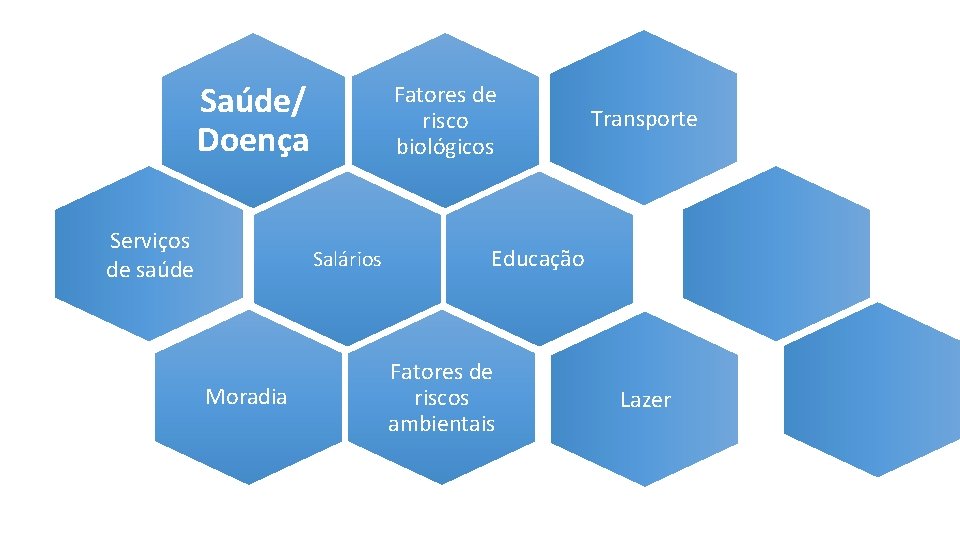 Saúde/ Doença Serviços de saúde Fatores de risco biológicos Salários Moradia Transporte Educação Fatores