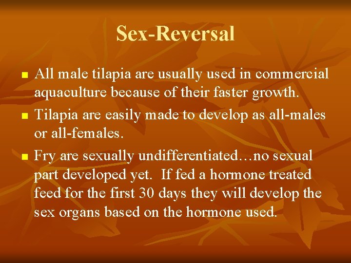 Sex-Reversal n n n All male tilapia are usually used in commercial aquaculture because