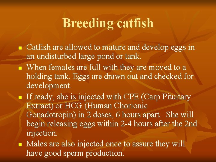 Breeding catfish n n Catfish are allowed to mature and develop eggs in an