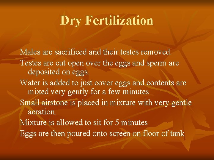 Dry Fertilization Males are sacrificed and their testes removed. Testes are cut open over