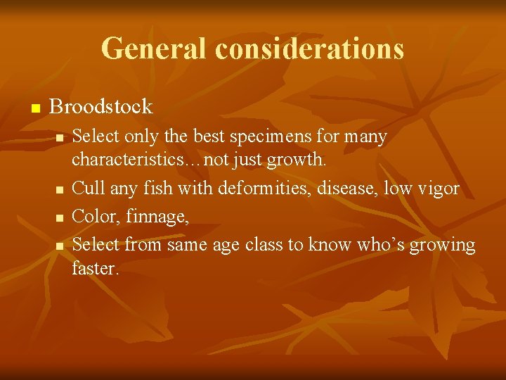 General considerations n Broodstock n n Select only the best specimens for many characteristics…not