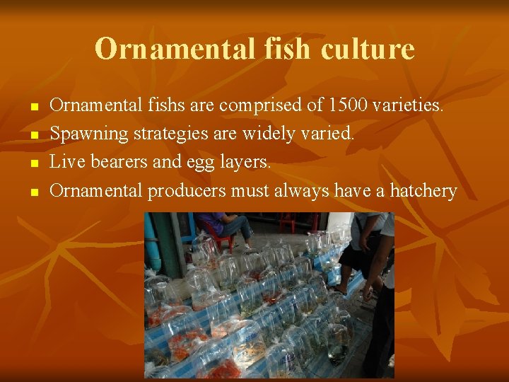 Ornamental fish culture n n Ornamental fishs are comprised of 1500 varieties. Spawning strategies