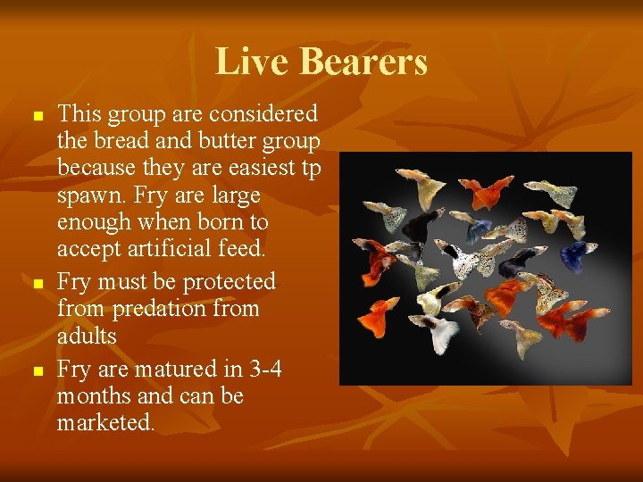 Live Bearers n n n This group are considered the bread and butter group