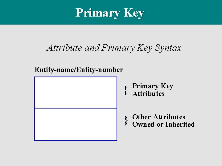 Primary Key Attribute and Primary Key Syntax Entity-name/Entity-number } Primary Key Attributes } Other