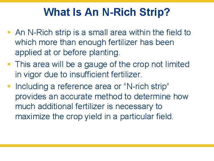 What Is An N-Rich Strip? § An N-Rich strip is a small area within