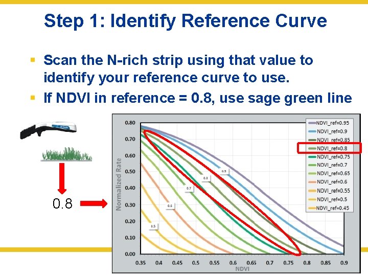 Step 1: Identify Reference Curve § Scan the N-rich strip using that value to