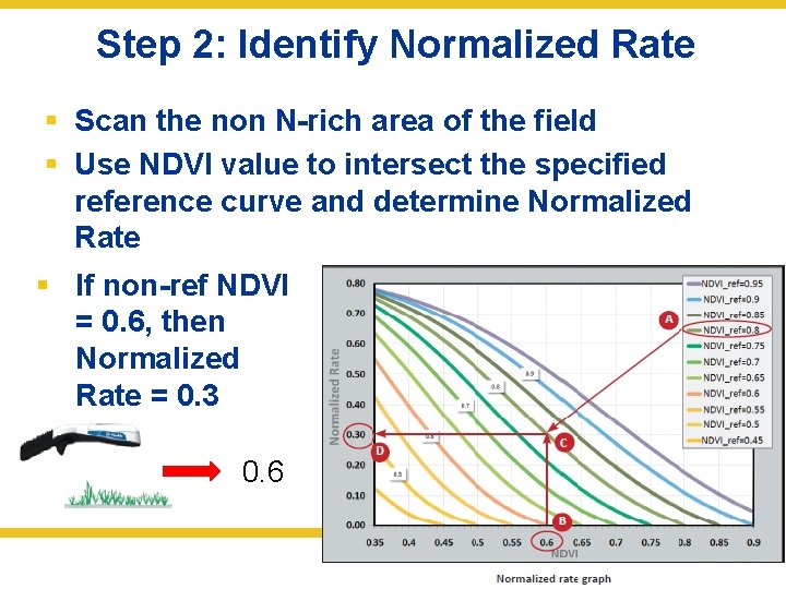Step 2: Identify Normalized Rate § Scan the non N-rich area of the field