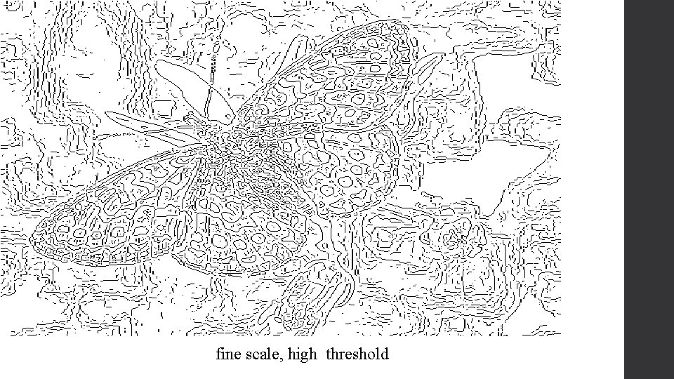 fine scale, high threshold 