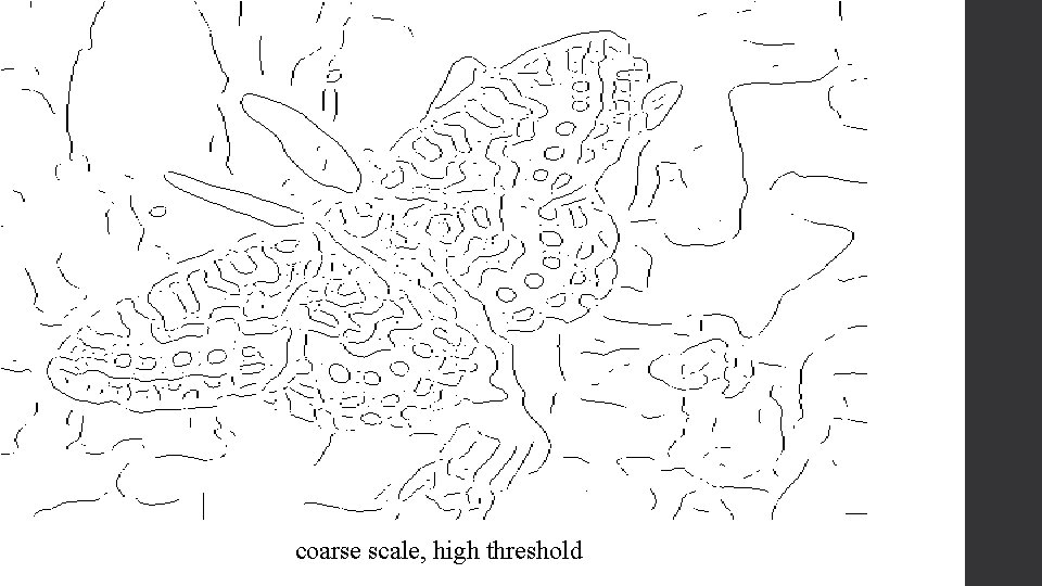 coarse scale, high threshold 