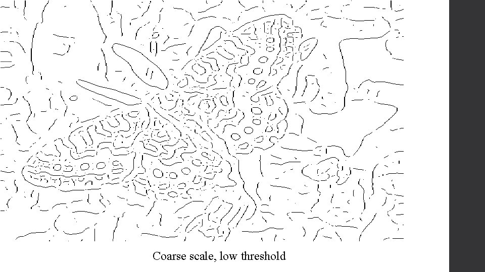 Coarse scale, low threshold 