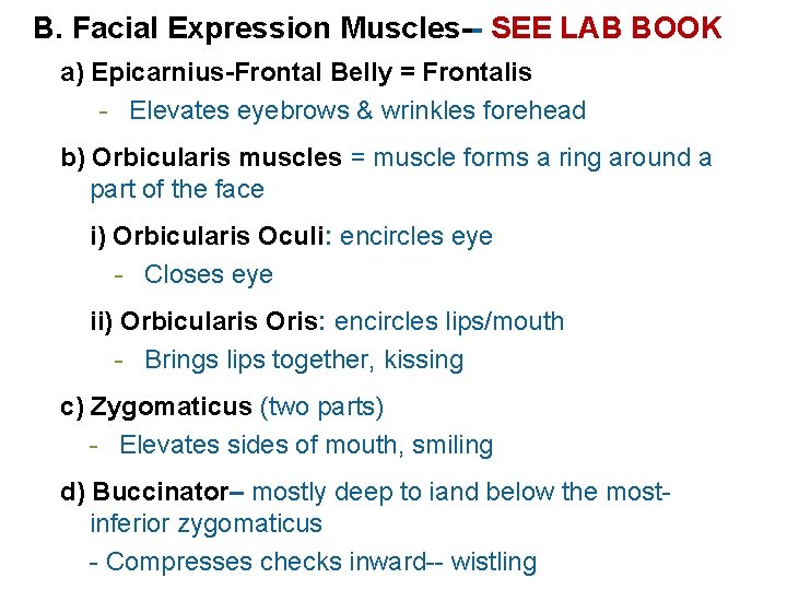 B. Facial Expression Muscles-- SEE LAB BOOK a) Epicarnius-Frontal Belly = Frontalis - Elevates