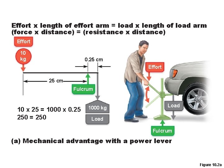 Effort x length of effort arm = load x length of load arm (force