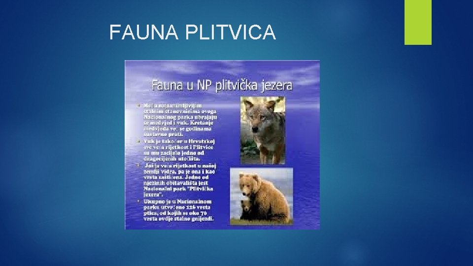 FAUNA PLITVICA 