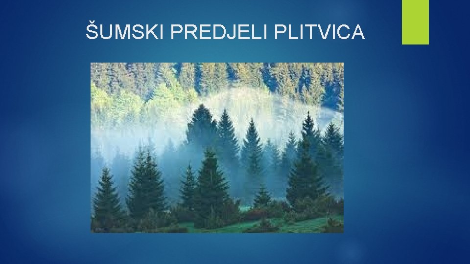 ŠUMSKI PREDJELI PLITVICA 