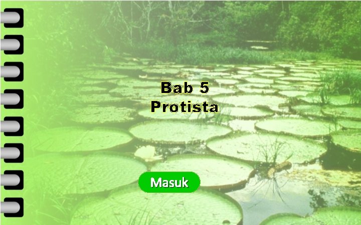 KOMPETENSI INTI KOMPETENSI DASAR INDIKATOR Bab 5 Protista MATERI LATIHAN SOAL TUGAS Masuk Keluar