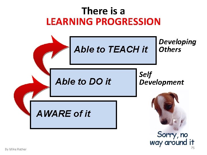 There is a LEARNING PROGRESSION Able to TEACH it Able to DO it Developing