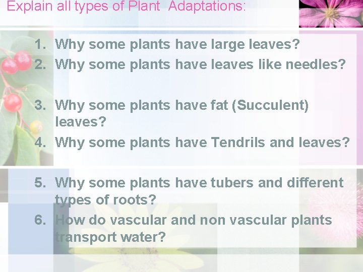 Explain all types of Plant Adaptations: 1. Why some plants have large leaves? 2.