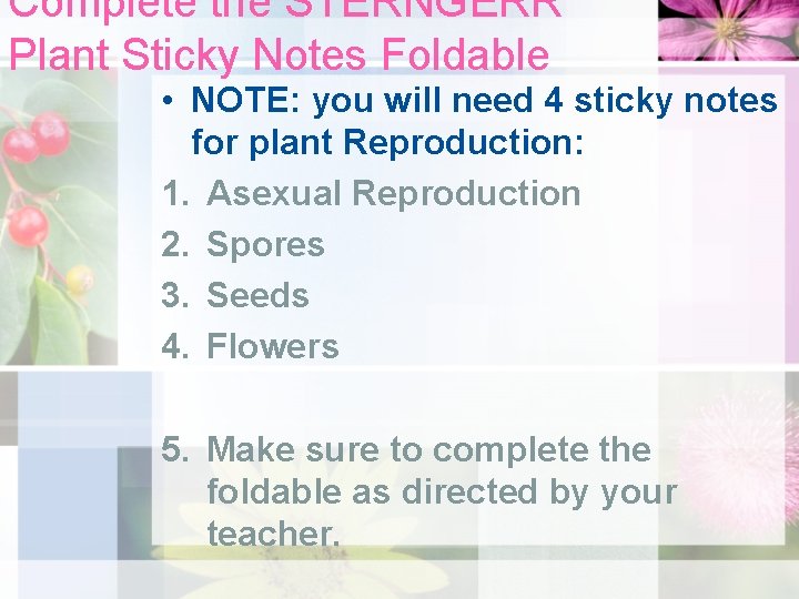 Complete the STERNGERR Plant Sticky Notes Foldable • NOTE: you will need 4 sticky