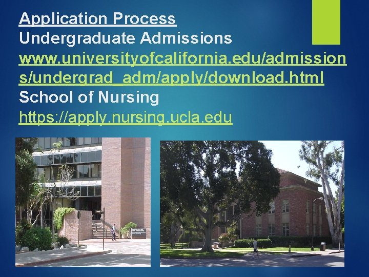 Application Process Undergraduate Admissions www. universityofcalifornia. edu/admission s/undergrad_adm/apply/download. html School of Nursing https: //apply. Application Process Undergraduate Admissions www. universityofcalifornia. edu/admission s/undergrad_adm/apply/download. html School of Nursing https: //apply.