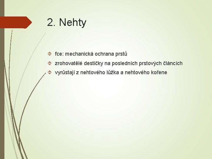 2. Nehty fce: mechanická ochrana prstů zrohovatělé destičky na posledních prstových článcích vyrůstají z