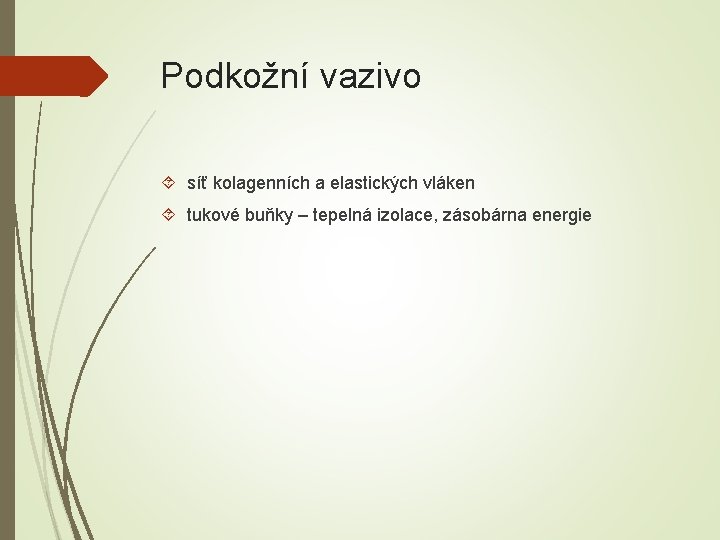 Podkožní vazivo síť kolagenních a elastických vláken tukové buňky – tepelná izolace, zásobárna energie