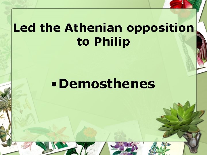 Led the Athenian opposition to Philip • Demosthenes 