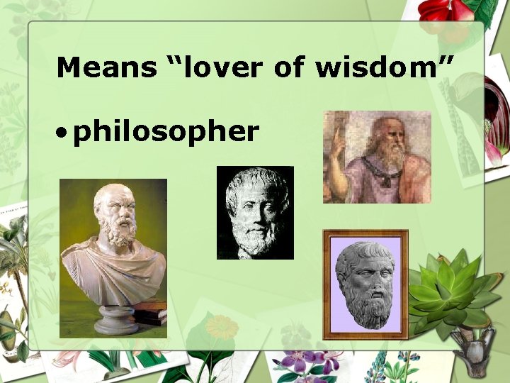 Means “lover of wisdom” • philosopher 