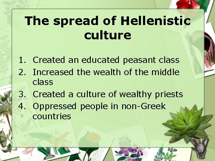 The spread of Hellenistic culture 1. Created an educated peasant class 2. Increased the