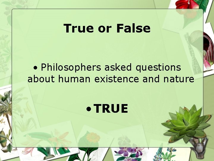 True or False • Philosophers asked questions about human existence and nature • TRUE