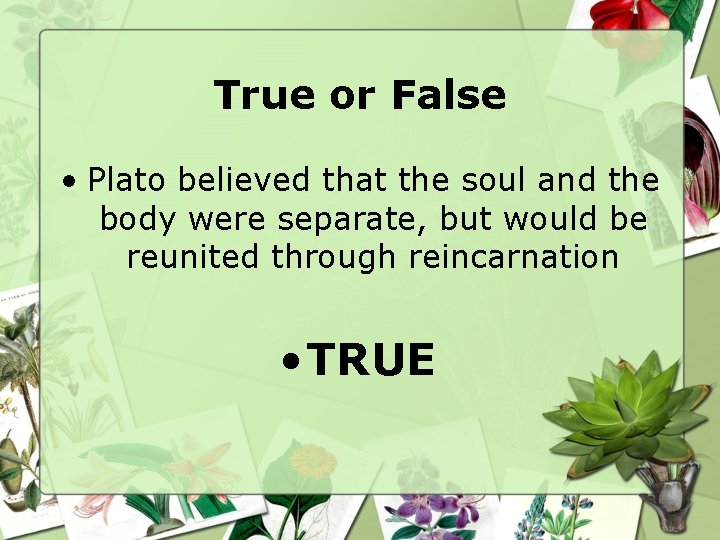 True or False • Plato believed that the soul and the body were separate,