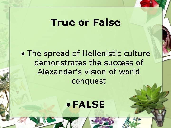 True or False • The spread of Hellenistic culture demonstrates the success of Alexander’s
