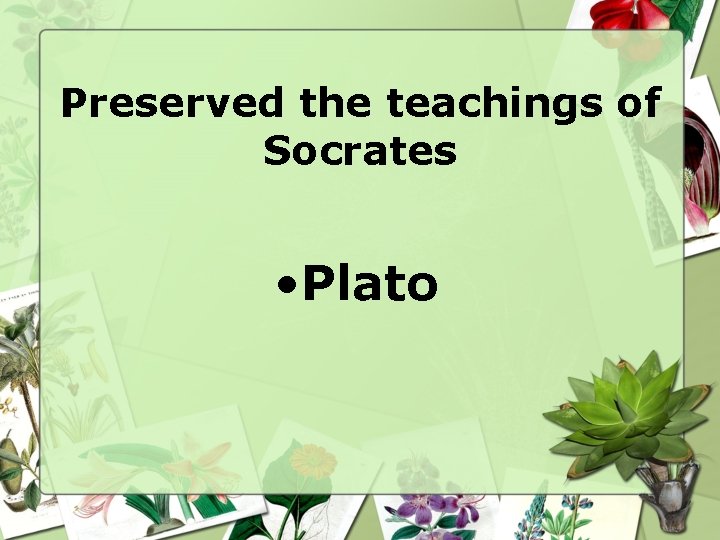 Preserved the teachings of Socrates • Plato 