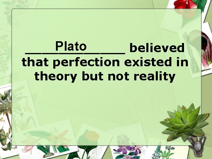 Plato ______ believed that perfection existed in theory but not reality 