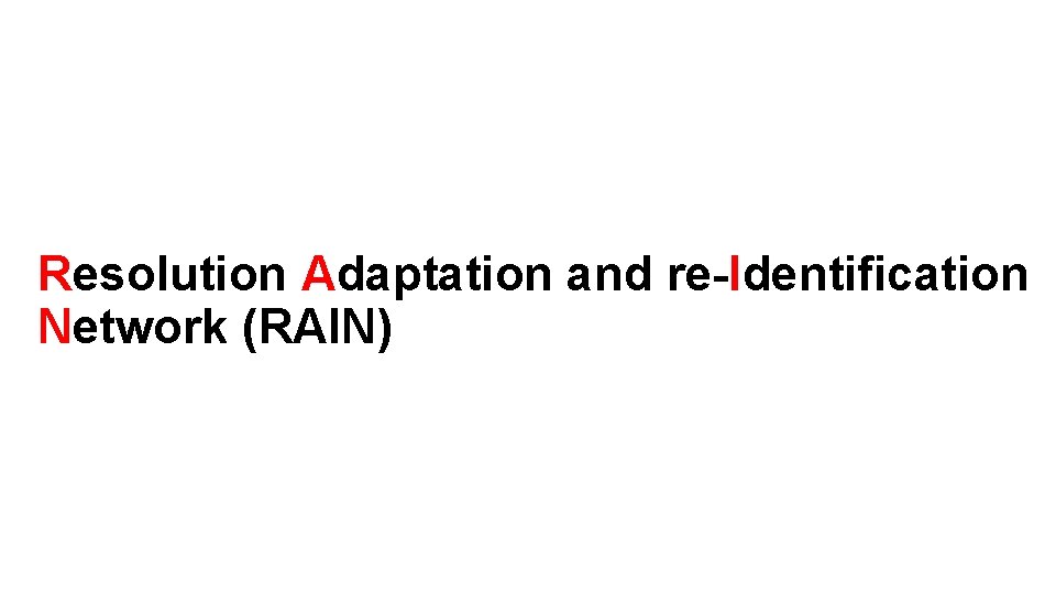 Resolution Adaptation and re-Identification Network (RAIN) 