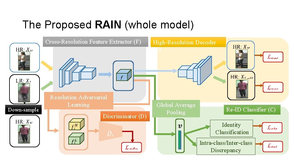 The Proposed RAIN (whole model) Cross-Resolution Feature Extractor (F) Down-sample Resolution Adversarial Learning Discriminator
