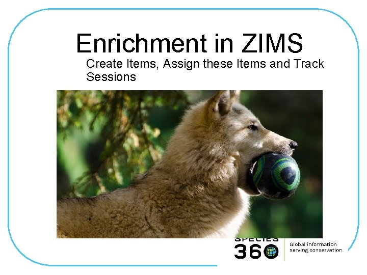 Enrichment in ZIMS Create Items, Assign these Items and Track Sessions 