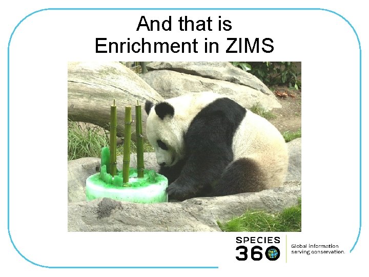 And that is Enrichment in ZIMS 