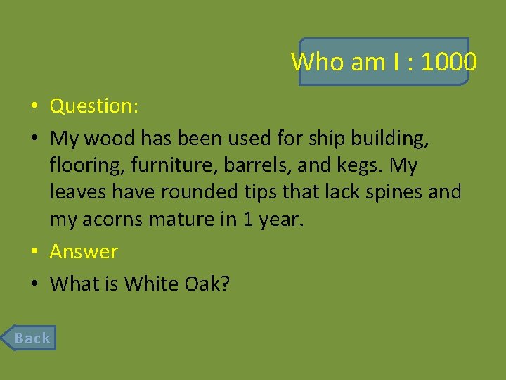Who am I : 1000 • Question: • My wood has been used for