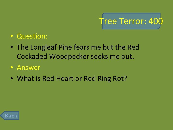 Tree Terror: 400 • Question: • The Longleaf Pine fears me but the Red