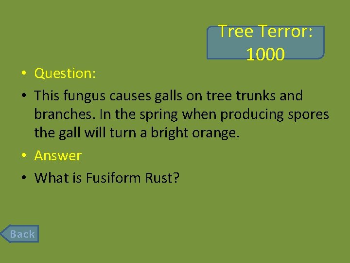 Tree Terror: 1000 • Question: • This fungus causes galls on tree trunks and
