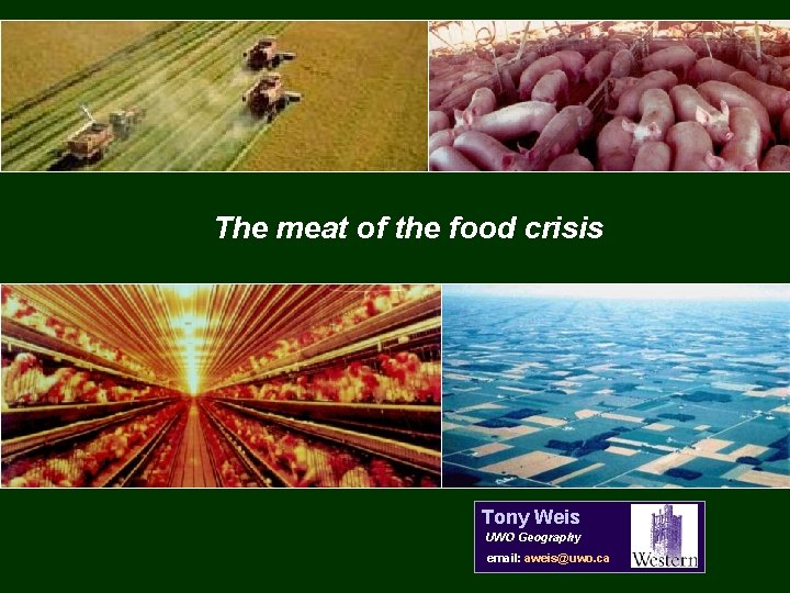 The meat of the food crisis Tony Weis UWO Geography email: aweis@uwo. ca 