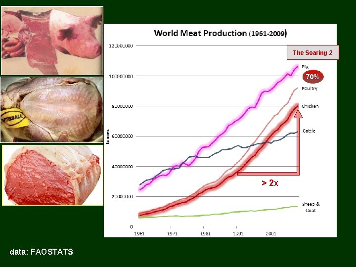 The Soaring 2 70% > 2 X data: FAOSTATS 