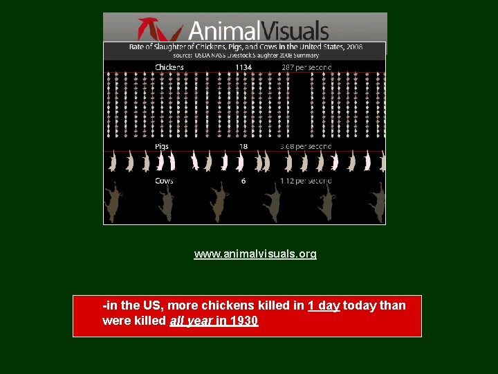 www. animalvisuals. org -in the US, more chickens killed in 1 day today than