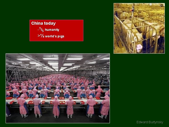 China today ~1/5 humanity >½ world’s pigs Edward Burtynsky 